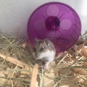 Meet your Posher, Trinitys